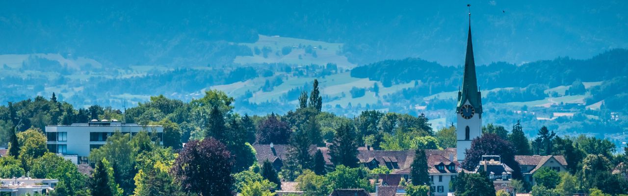 Umzug Zollikon